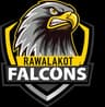 Rawalakot Falcons