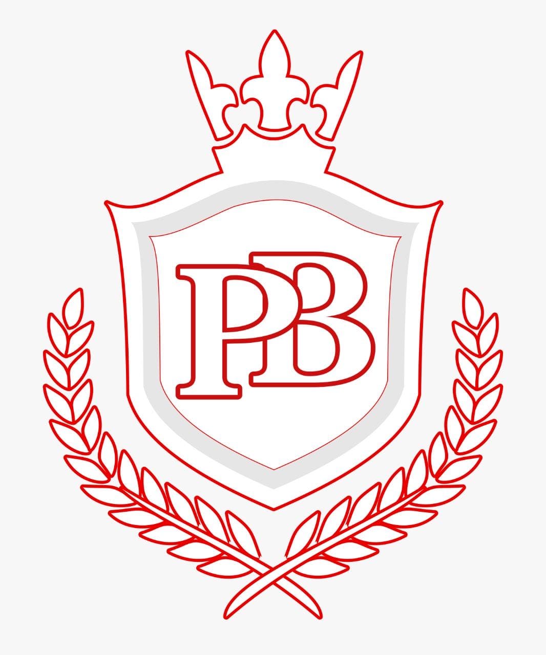 Pindi Boys Cricket Club team logo