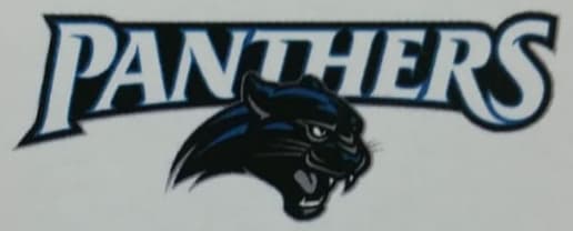 Panthers team logo