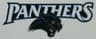 Panthers