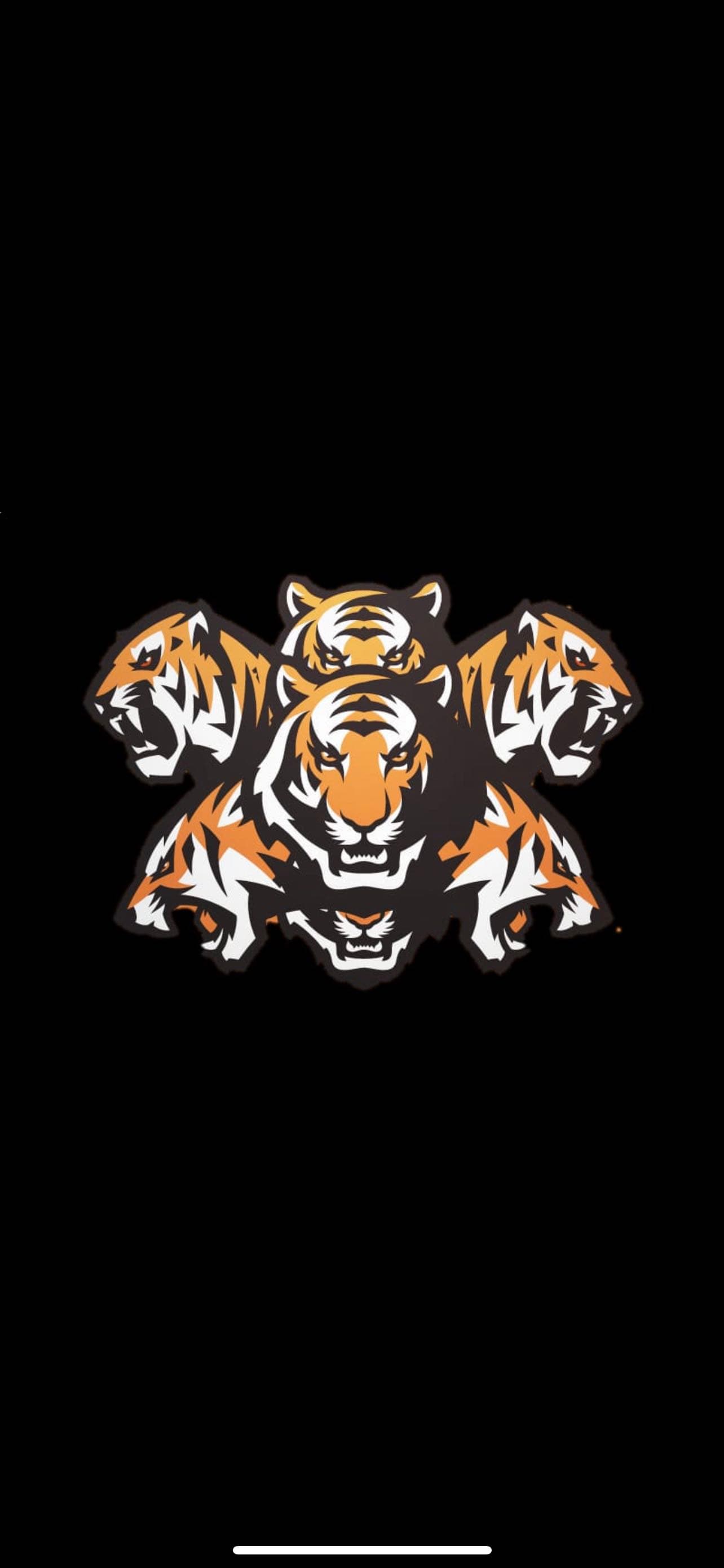 Rasoolpur Tiger team logo