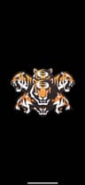 Rasoolpur Tiger
