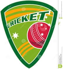 Al Hussaini Jhatpat team logo