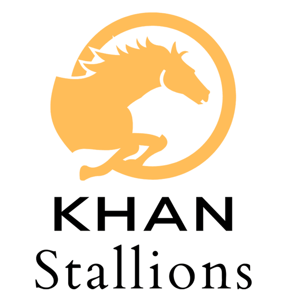 IRON GYM KHAN STALLIONS team logo