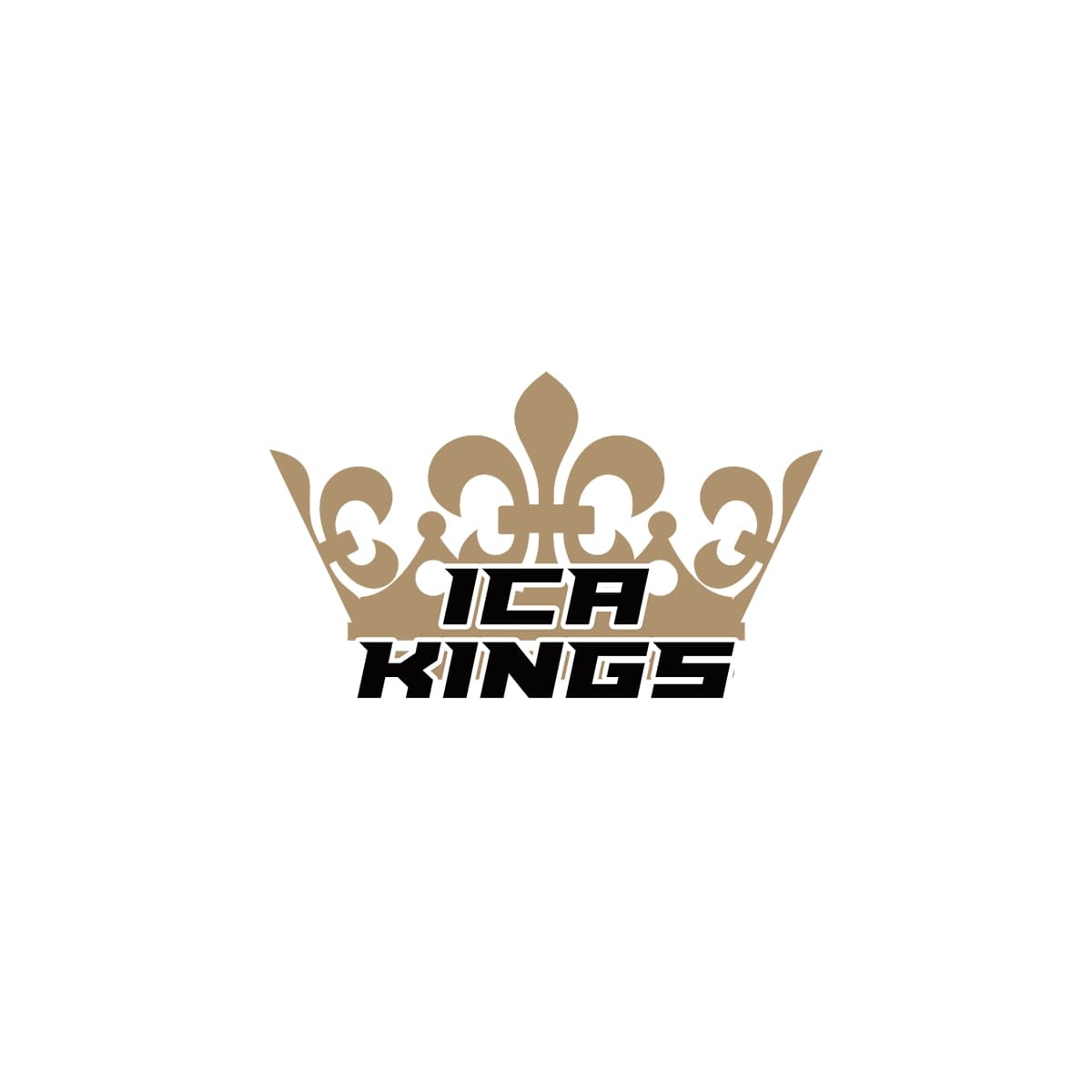 Awais Afridi team logo