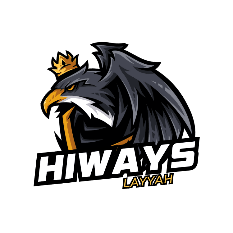 FAIZAN team logo