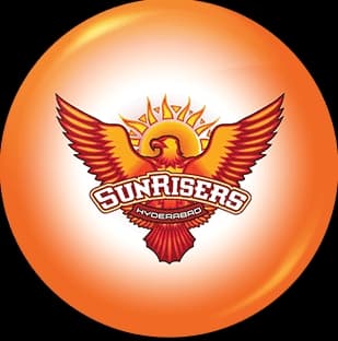 SUNRISERS HYDERABAD team logo