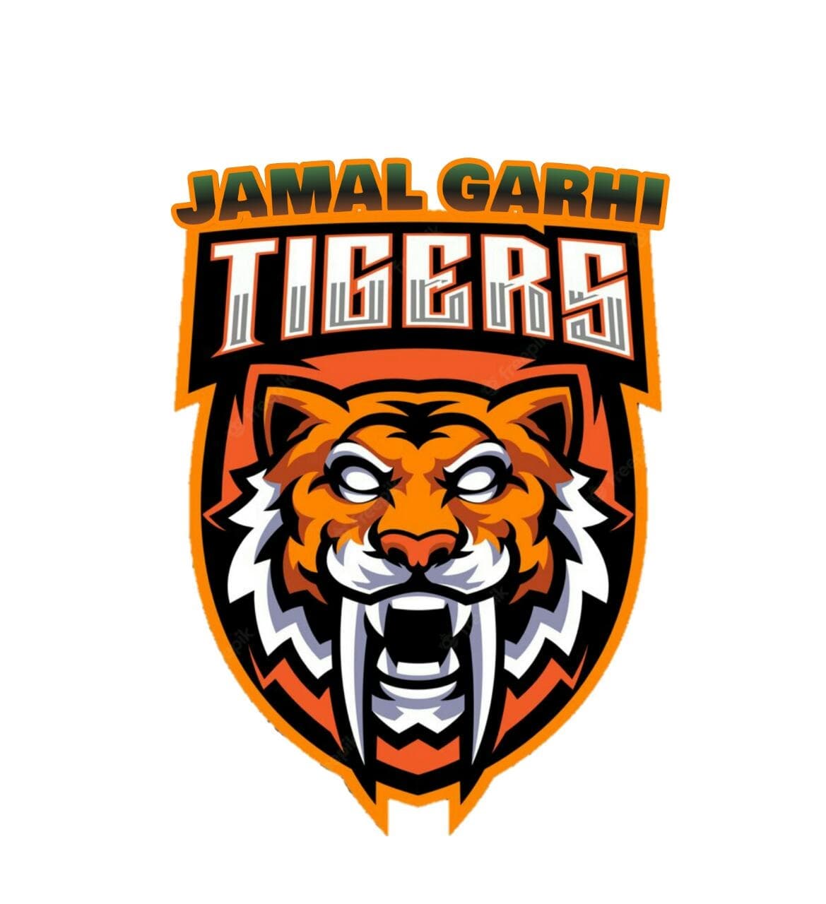 JAMAL GARHI TIGERS