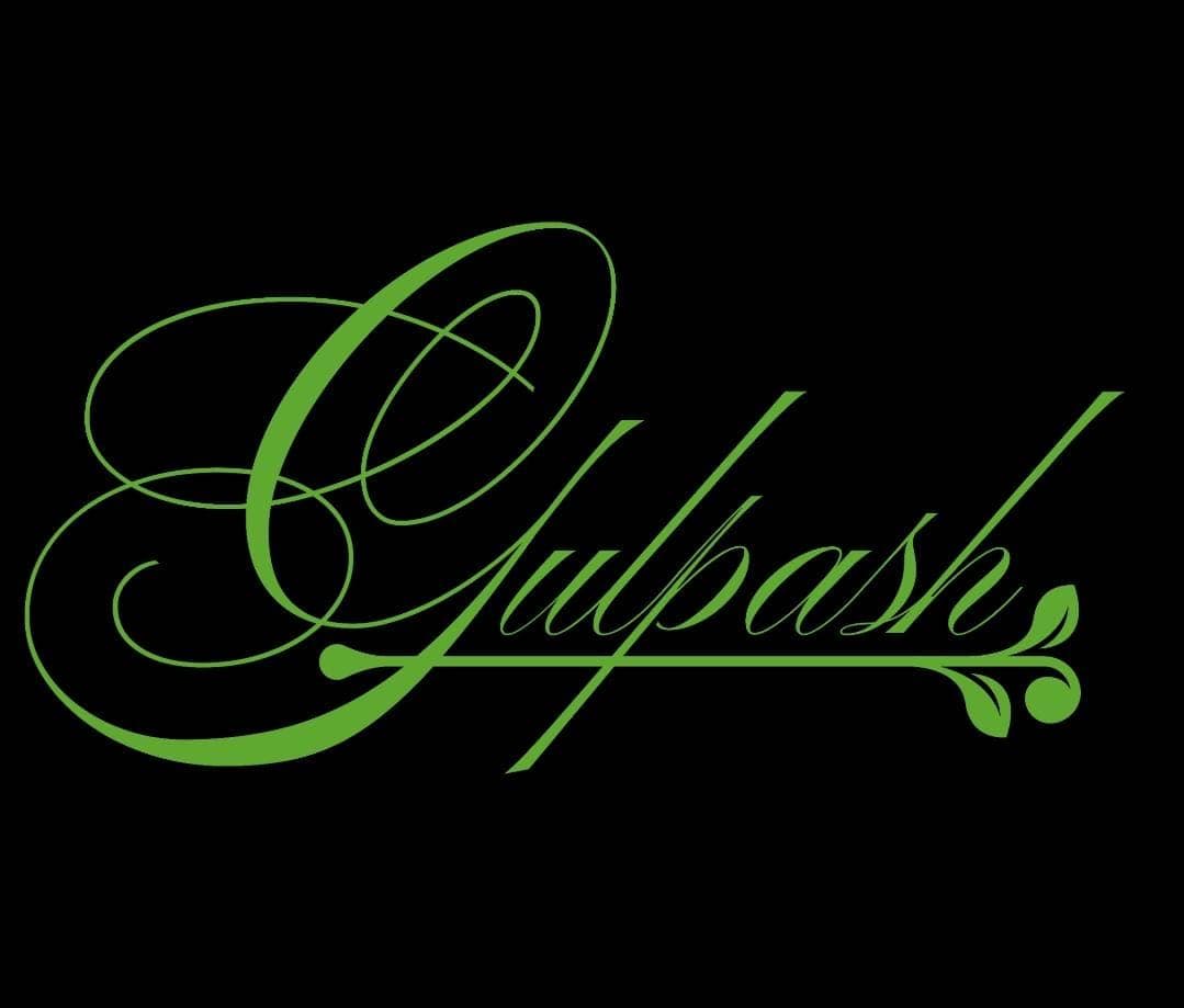 Sajid team logo