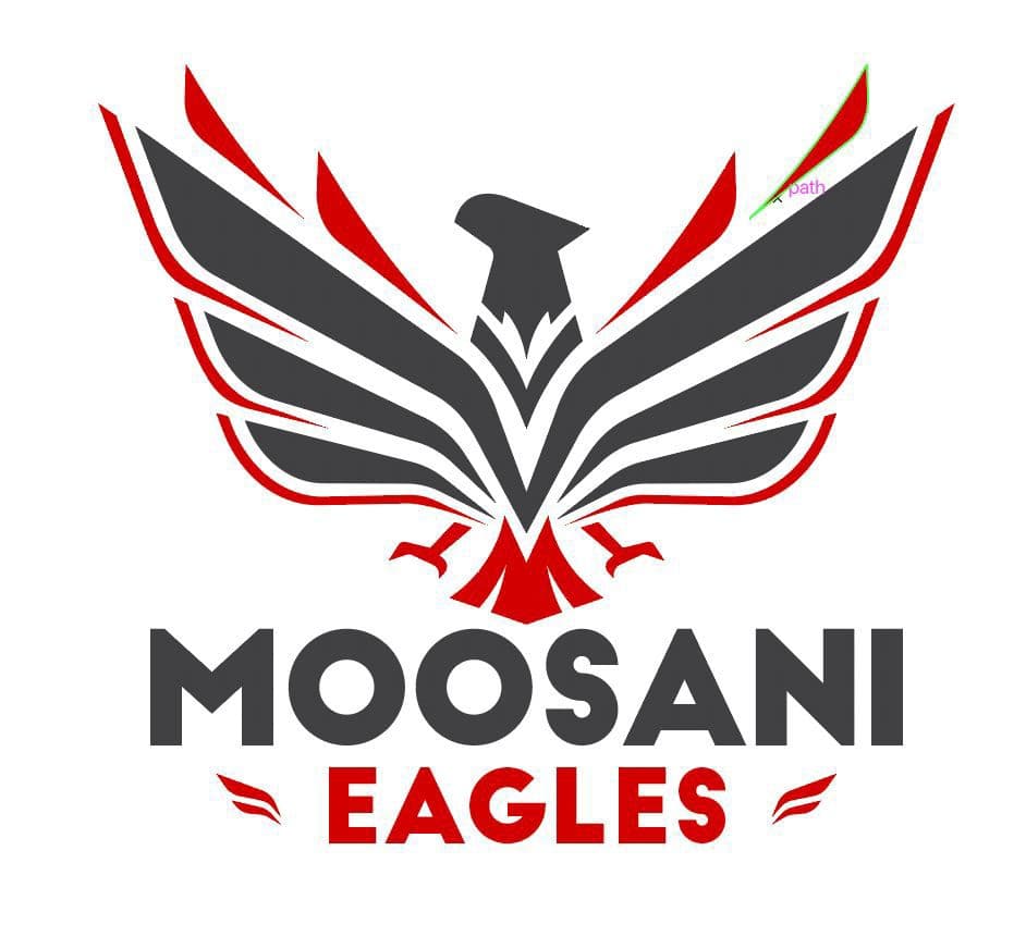 Talha Ahmedani team logo