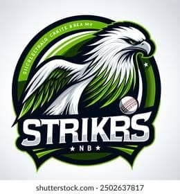 Bhimpura Strikers team logo