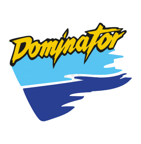 Lahore Dominators