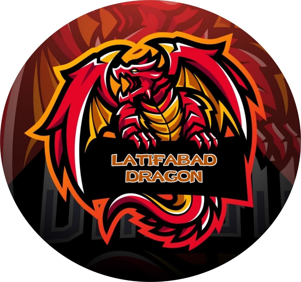 Latifabad Dragons