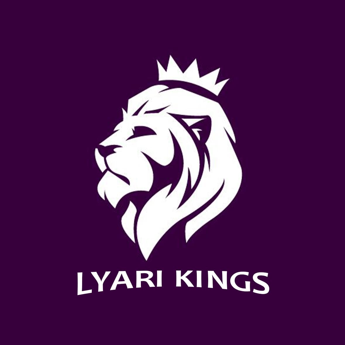Lyari Kings team logo