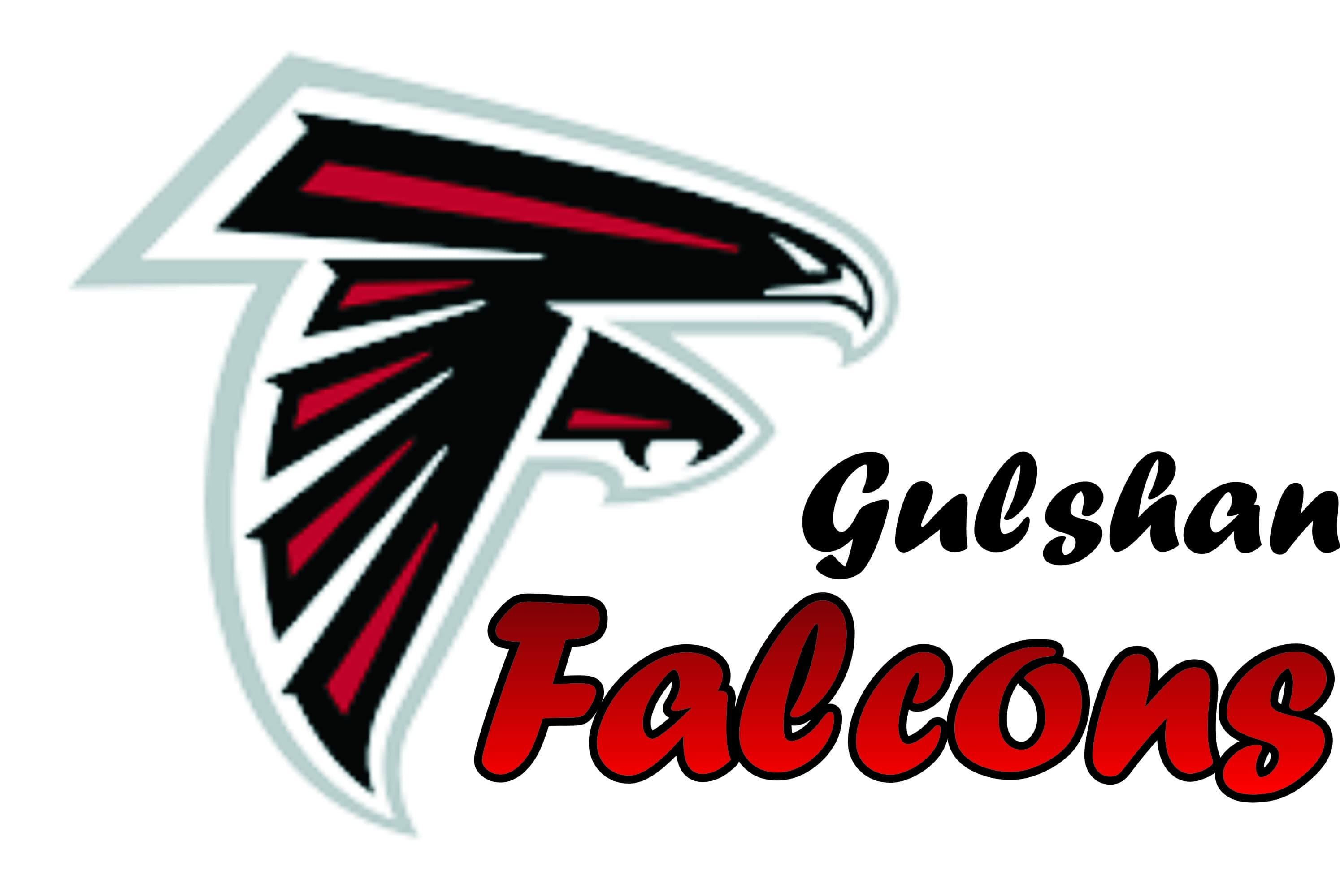 Gulshan Falcons