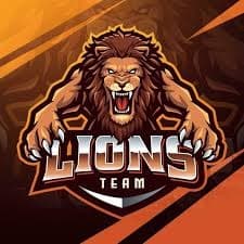 Haseeb team logo
