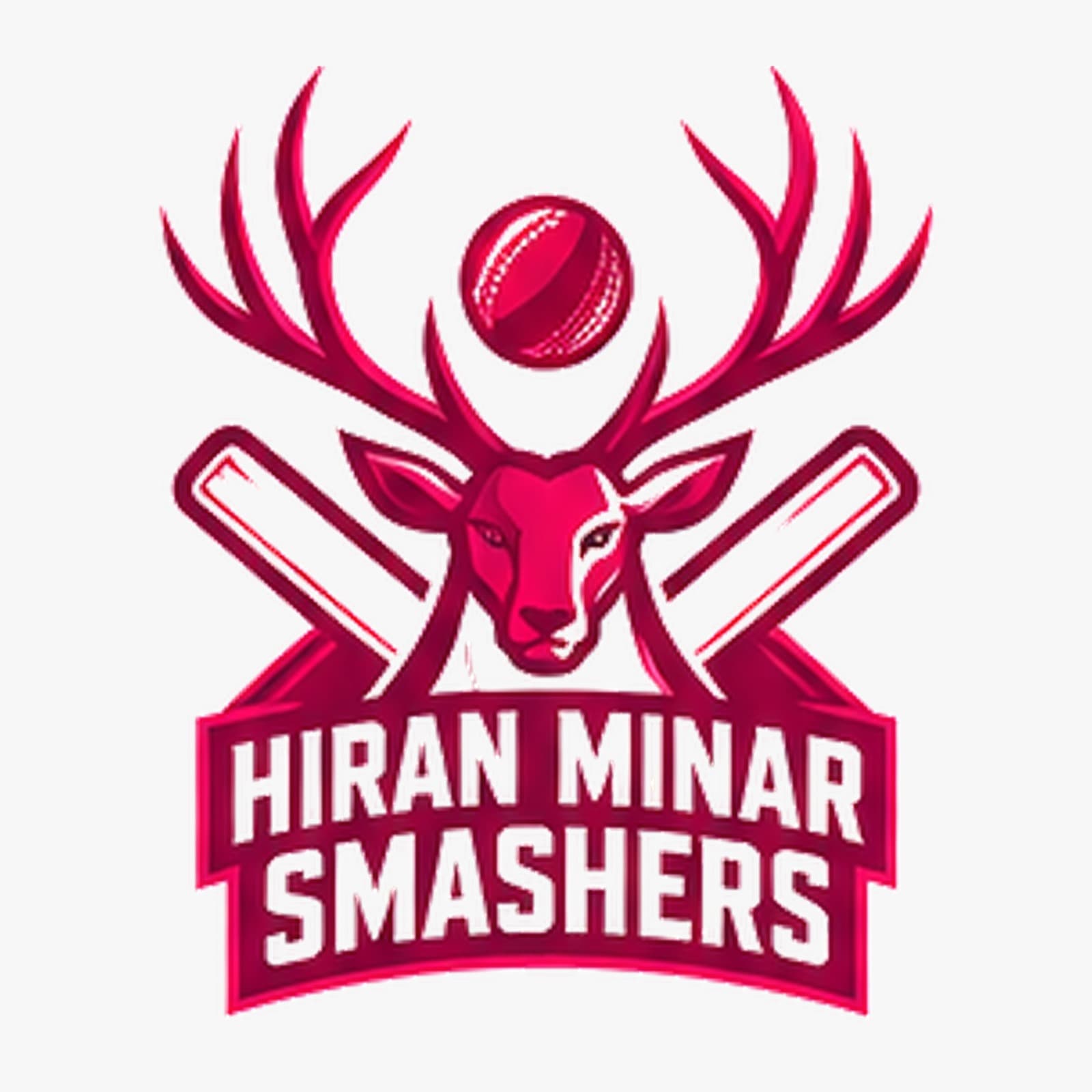 HIRAN MINAR SMASHERS team logo