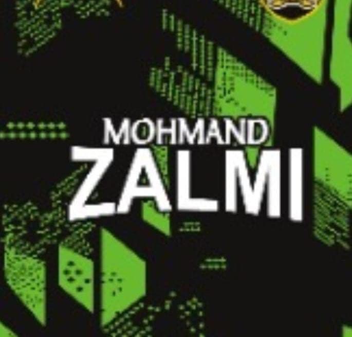 Mohmand Zalmi team logo