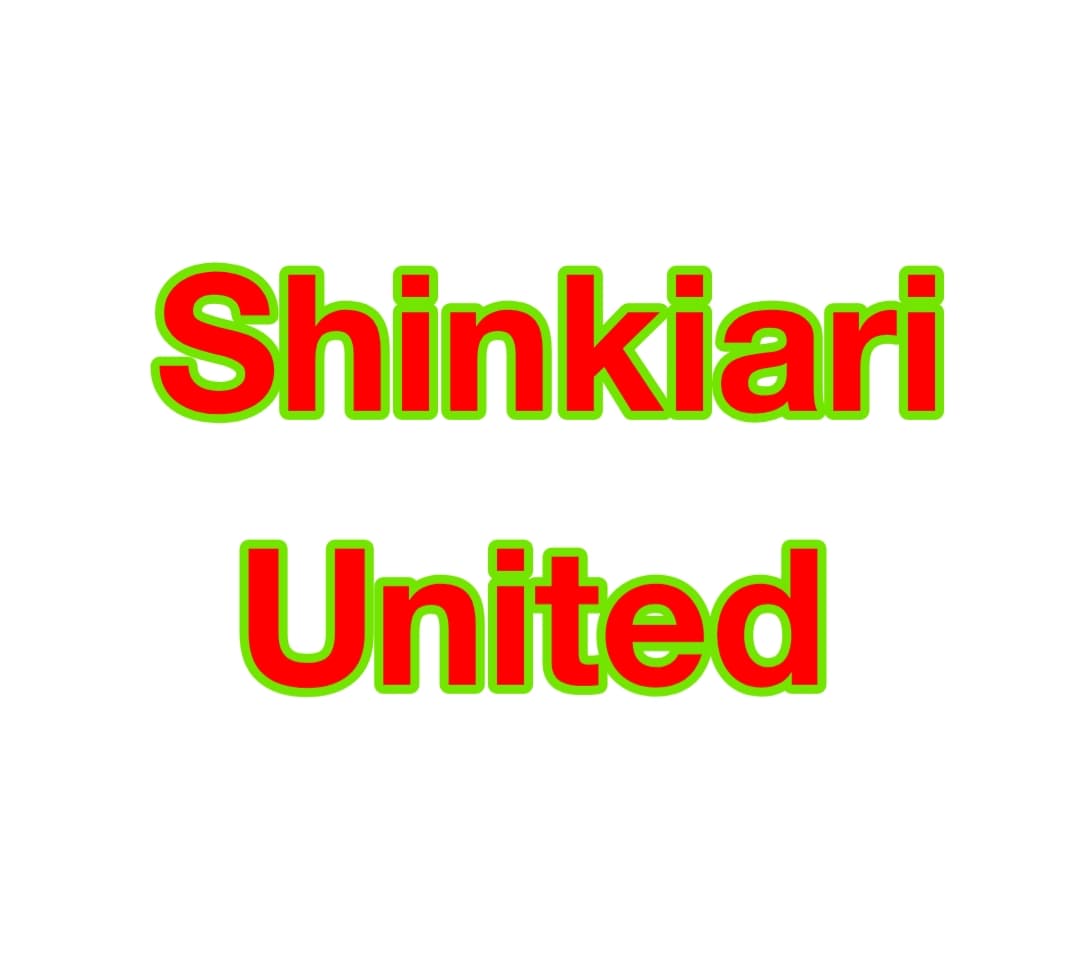 Shabir team logo