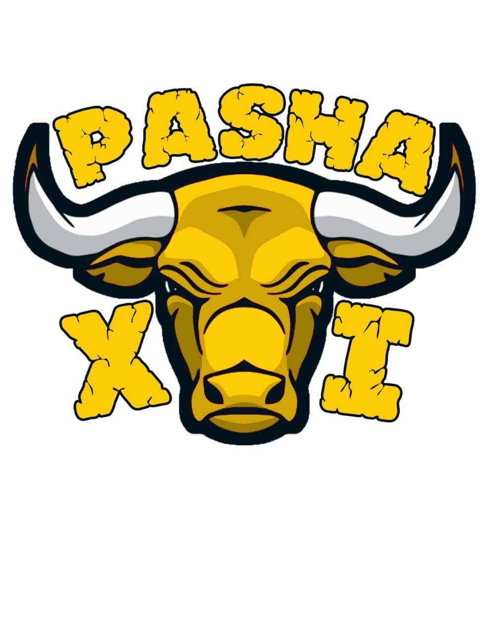 Pasha XI team logo
