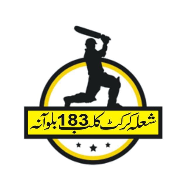 NABIA team logo
