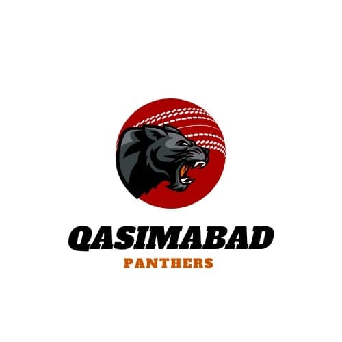 Qasimabad  Panthers team logo