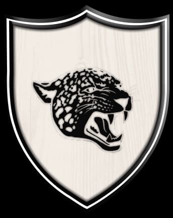 FB Area Leapords team logo