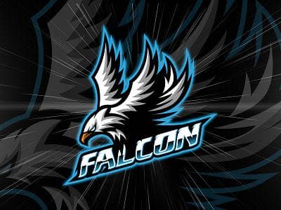 Falcon team logo