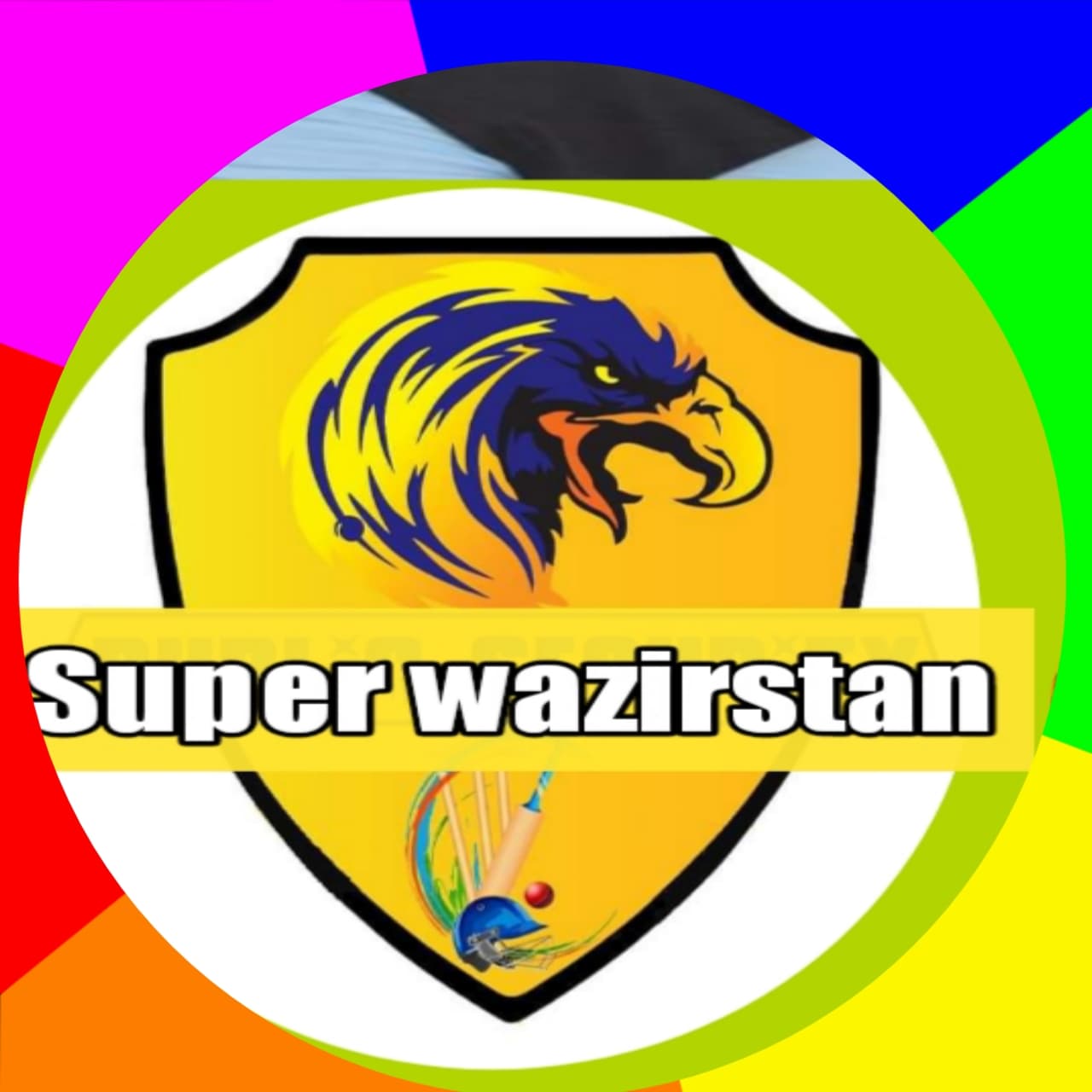 Super Wazirstan team logo
