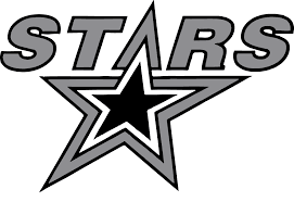 Solangi Stars team logo
