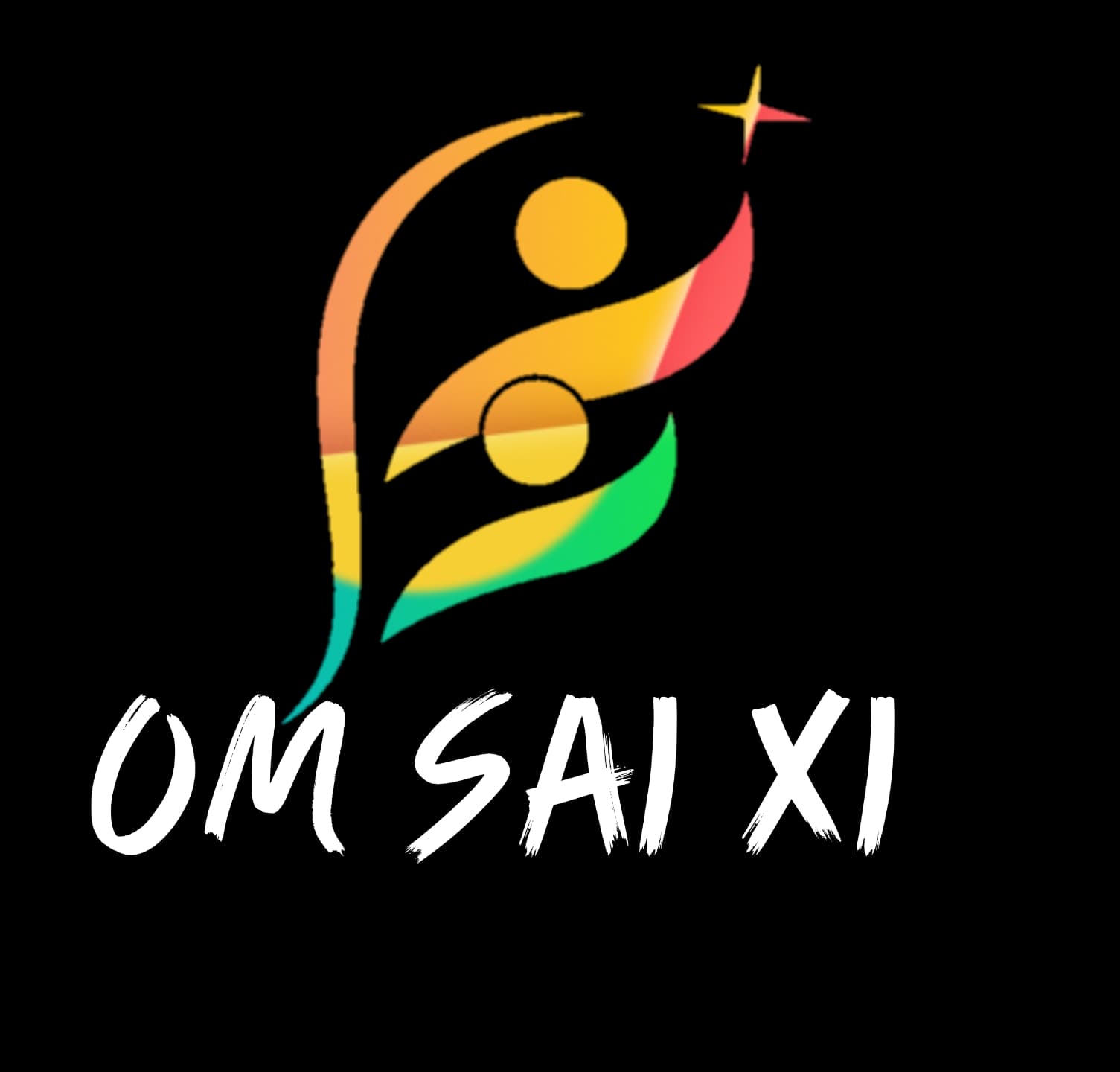 OM SAI XI