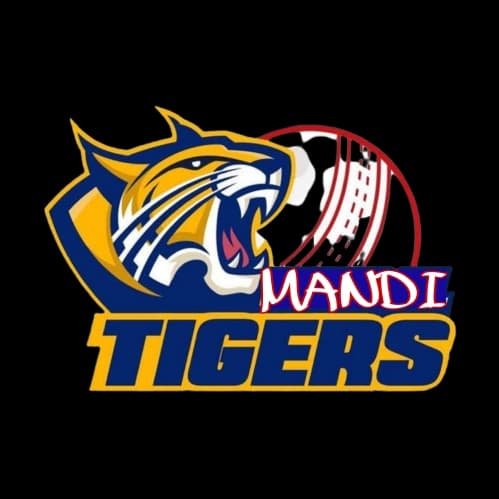 Mandi Tiger's team logo