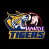 Mandi Tiger's