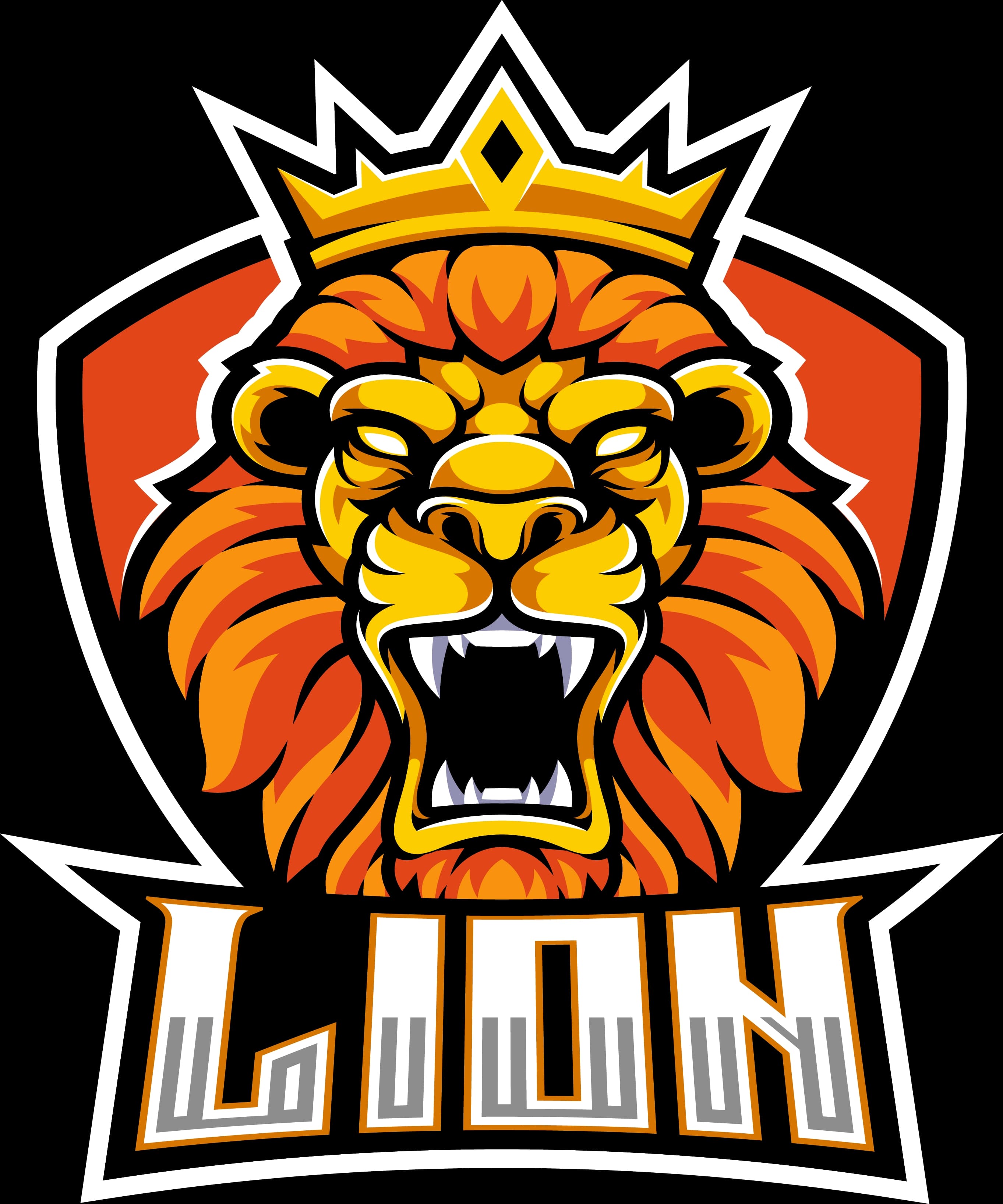 TDM LIONS team logo