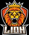 TDM LIONS