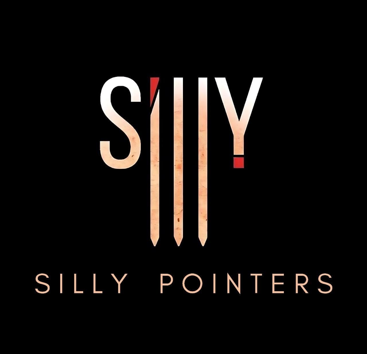 Silly Pointers