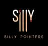 Silly Pointers