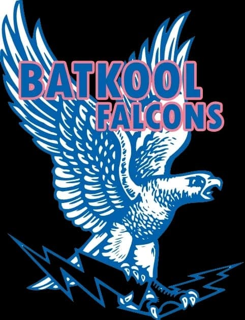 Batkool Falcon team logo