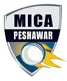 Malik International Cricket Acedmy