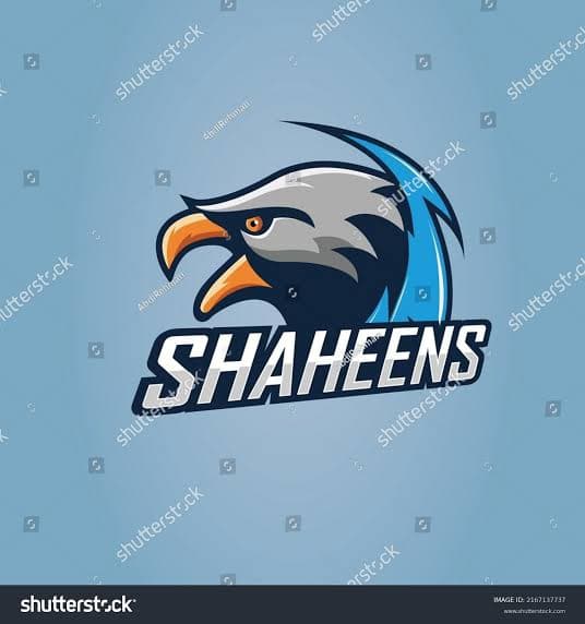 Shaheen team logo