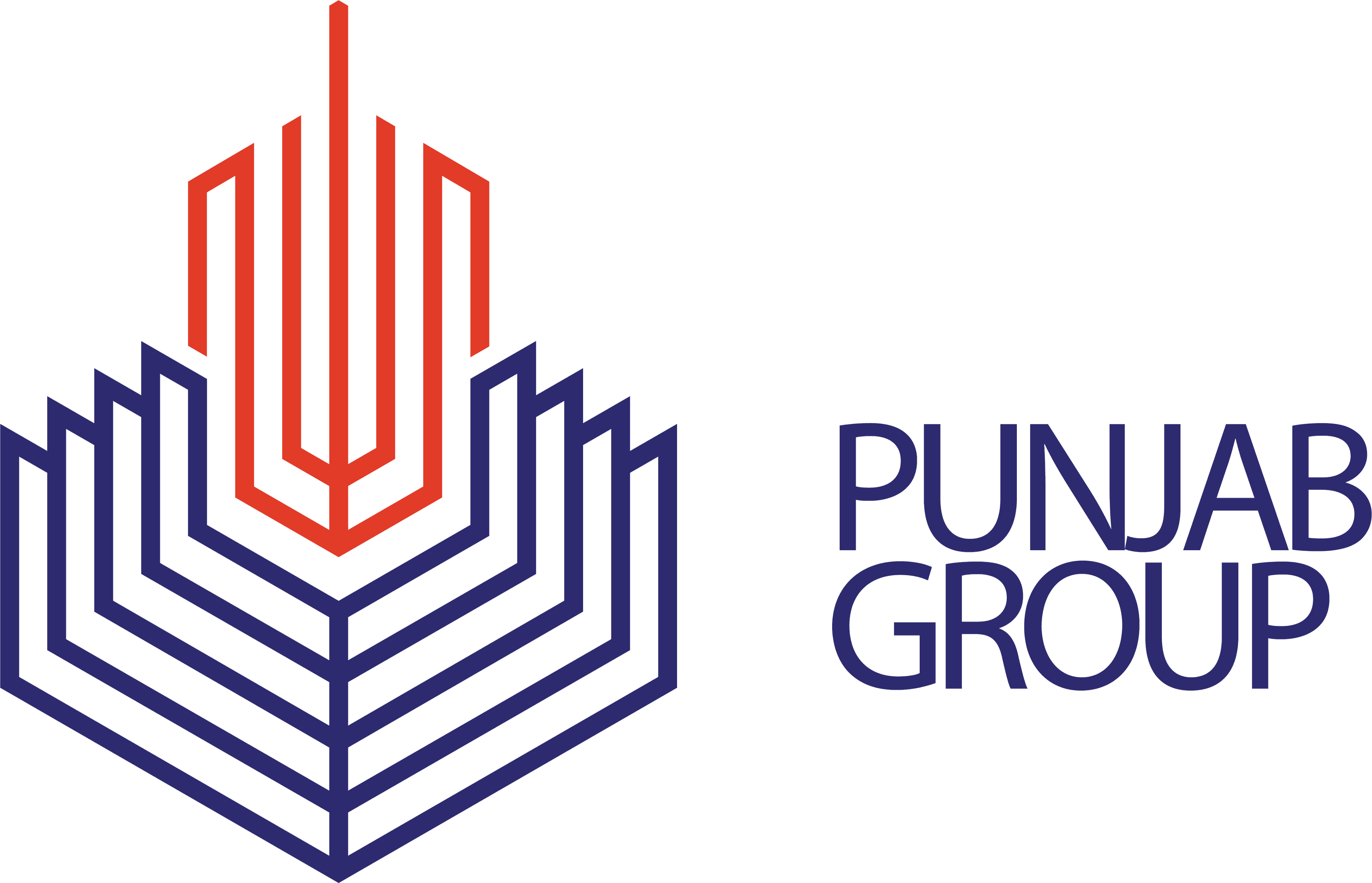 Punjab Group team logo