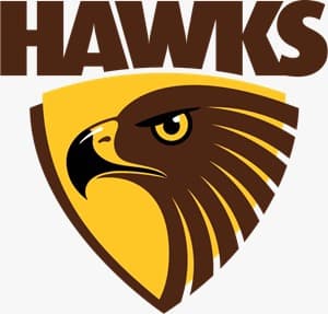 Cyber Hawks
