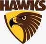 Cyber Hawks