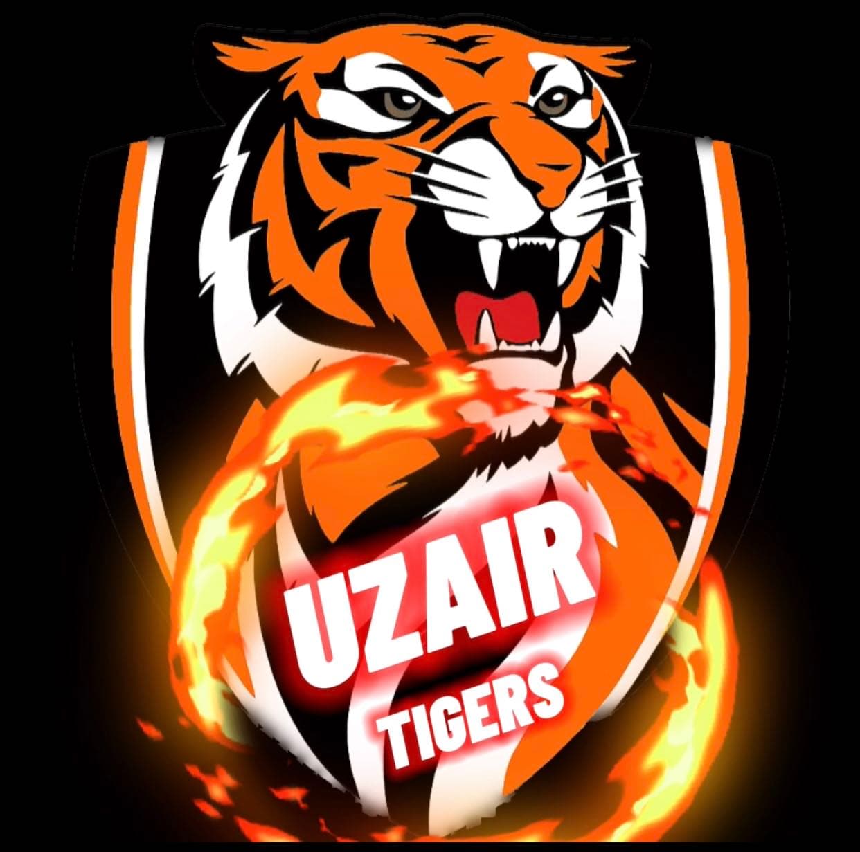 UZAIR TIGERS team logo