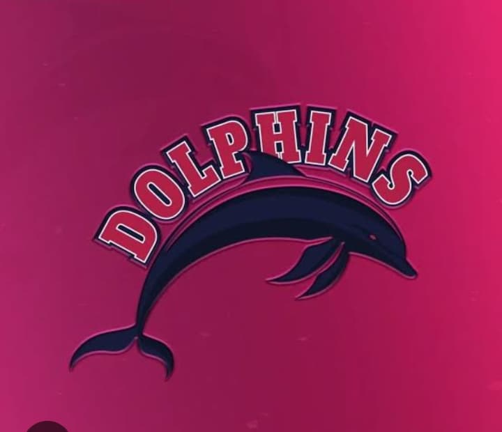 Multan Dolphin 🐬