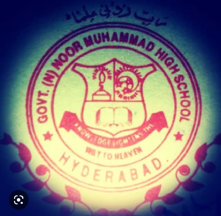 Noor Muhammad High School team logo
