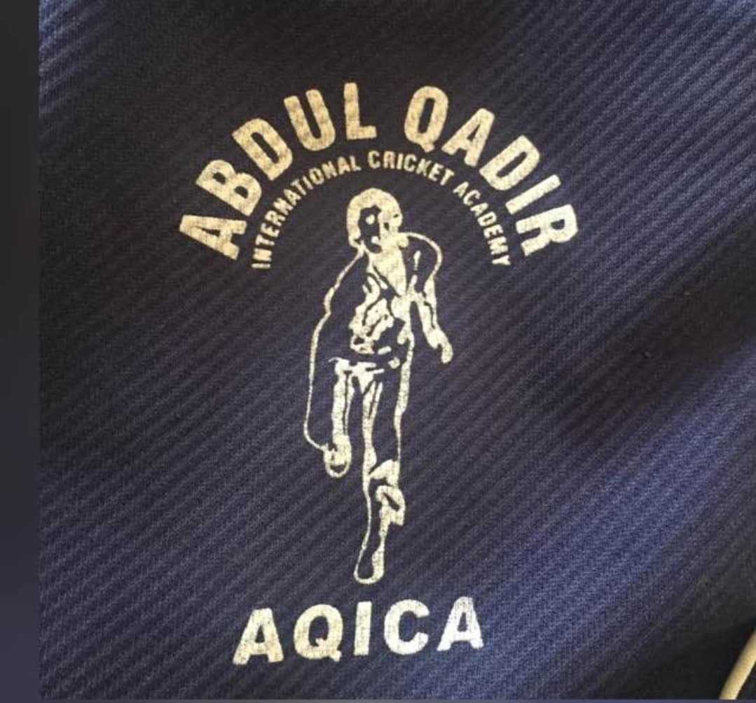 Abdul Qadir International Cricket Academy  Blue team logo