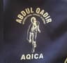 Abdul Qadir International Cricket Academy  Blue