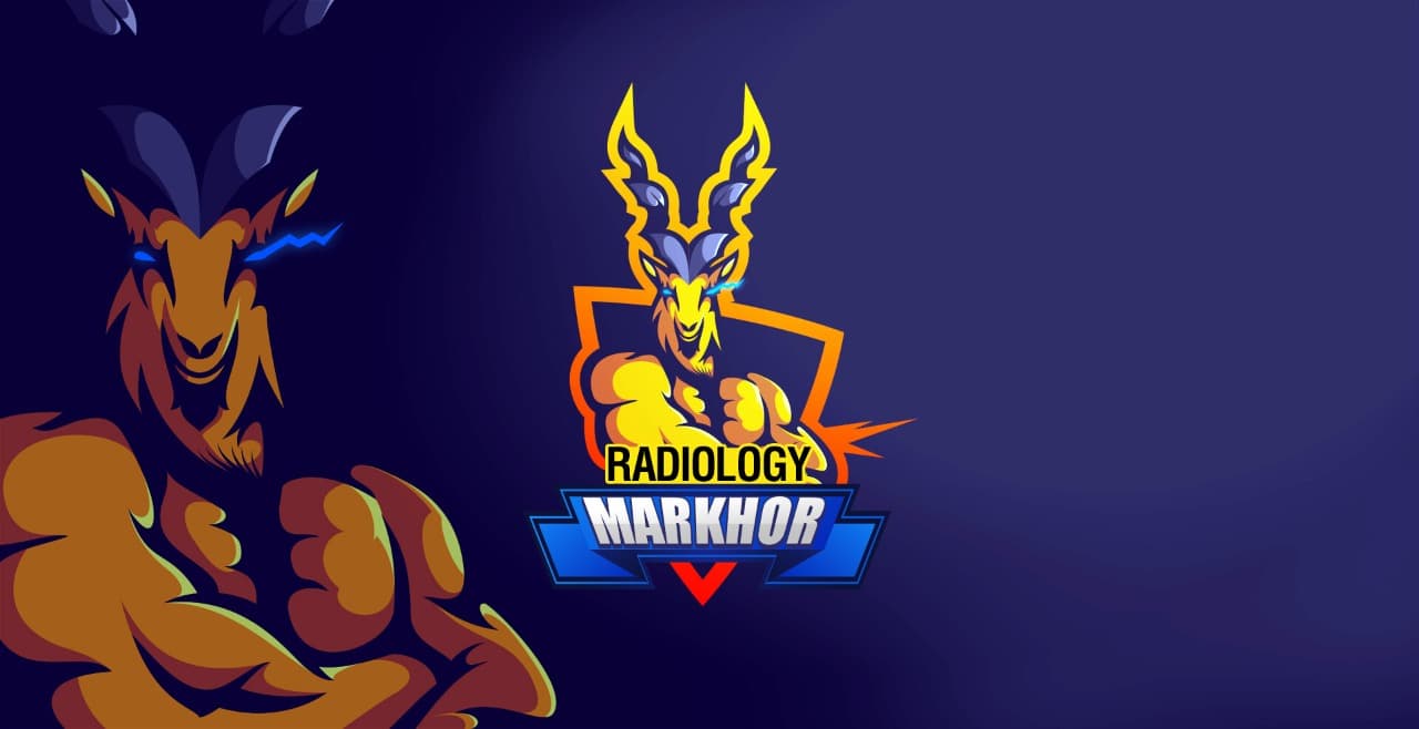 Muzammil team logo