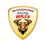 Racing Bulls